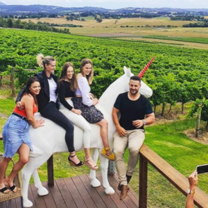 Half Day Peninsula Winery & Lunch Tour (up to 5 pax)