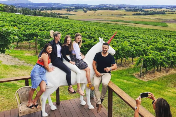 Half Day Peninsula Winery & Lunch Tour (up to 5 pax)